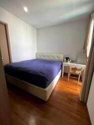 Urban Treasures (D14), Condominium #479789301